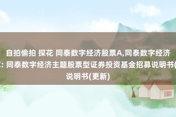 自拍偷拍 探花 同泰数字经济股票A，同泰数字经济股票C: 同泰数字经济主题股票型证券投资基金招募说明书(更新)