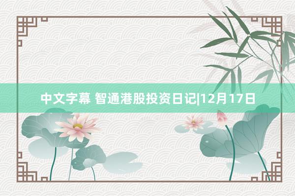 中文字幕 智通港股投资日记|12月17日