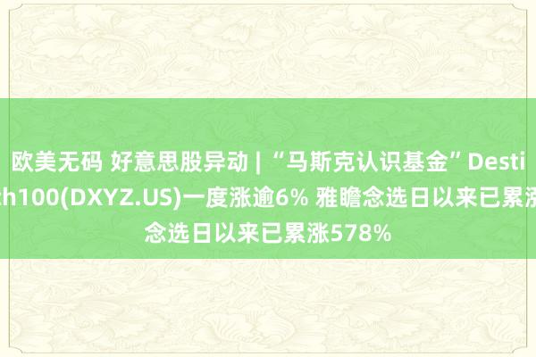 欧美无码 好意思股异动 | “马斯克认识基金”Destiny Tech100(DXYZ.US)一度涨逾6% 雅瞻念选日以来已累涨578%