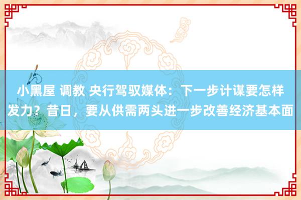 小黑屋 调教 央行驾驭媒体：下一步计谋要怎样发力？昔日，要从供需两头进一步改善经济基本面