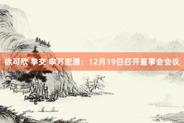 徐可欣 拳交 申万宏源：12月19日召开董事会会议