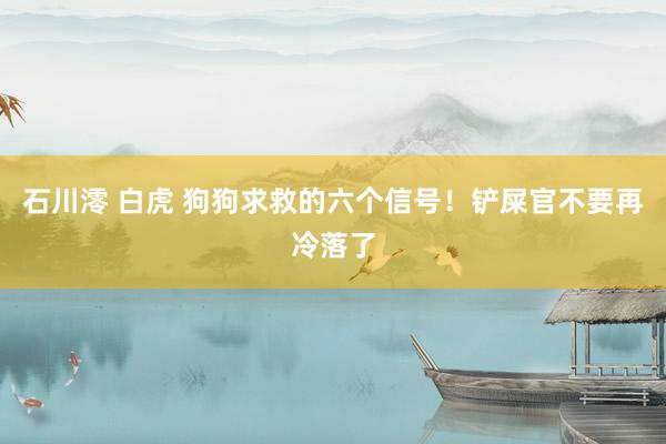 石川澪 白虎 狗狗求救的六个信号！铲屎官不要再冷落了