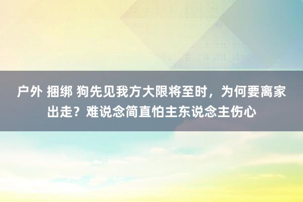 户外 捆绑 狗先见我方大限将至时，为何要离家出走？难说念简直怕主东说念主伤心