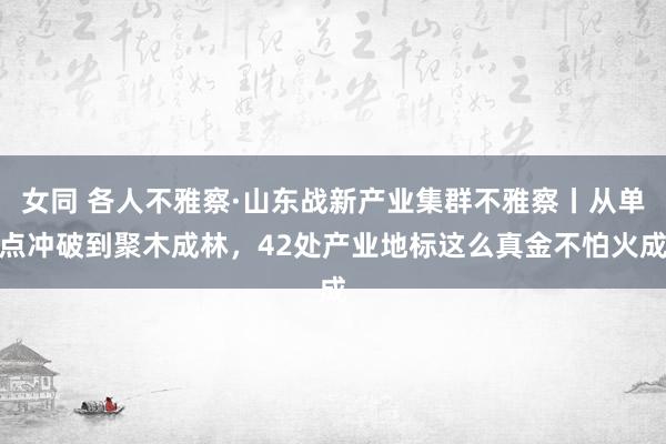 女同 各人不雅察·山东战新产业集群不雅察丨从单点冲破到聚木成林，42处产业地标这么真金不怕火成