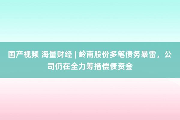 国产视频 海量财经 | 岭南股份多笔债务暴雷，公司仍在全力筹措偿债资金