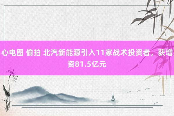 心电图 偷拍 北汽新能源引入11家战术投资者，获增资81.5亿元