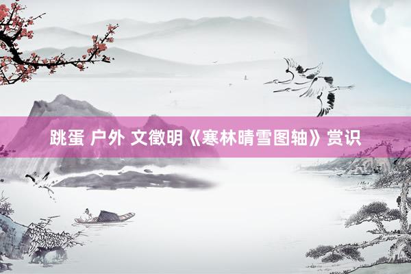 跳蛋 户外 文徵明《寒林晴雪图轴》赏识