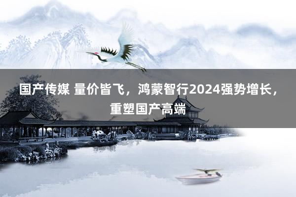 国产传媒 量价皆飞，鸿蒙智行2024强势增长，重塑国产高端