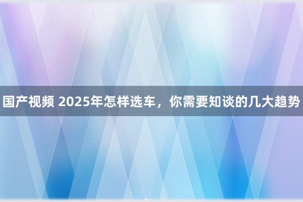 国产视频 2025年怎样选车，你需要知谈的几大趋势