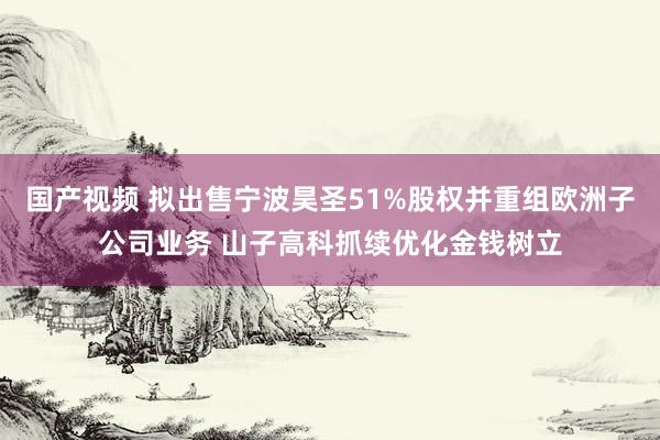 国产视频 拟出售宁波昊圣51%股权并重组欧洲子公司业务 山子高科抓续优化金钱树立