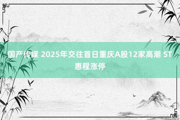 国产传媒 2025年交往首日重庆A股12家高潮 ST惠程涨停