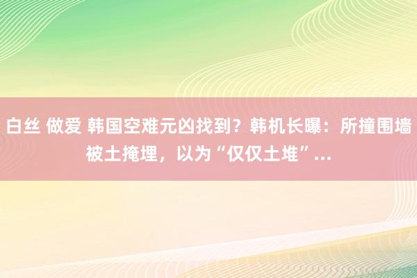 白丝 做爱 韩国空难元凶找到？韩机长曝：所撞围墙被土掩埋，以为“仅仅土堆”...