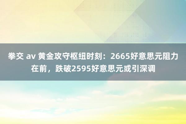 拳交 av 黄金攻守枢纽时刻：2665好意思元阻力在前，跌破2595好意思元或引深调