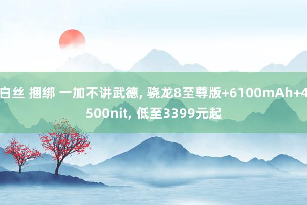 白丝 捆绑 一加不讲武德， 骁龙8至尊版+6100mAh+4500nit， 低至3399元起