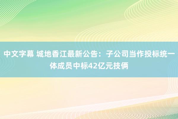 中文字幕 城地香江最新公告：子公司当作投标统一体成员中标42亿元技俩