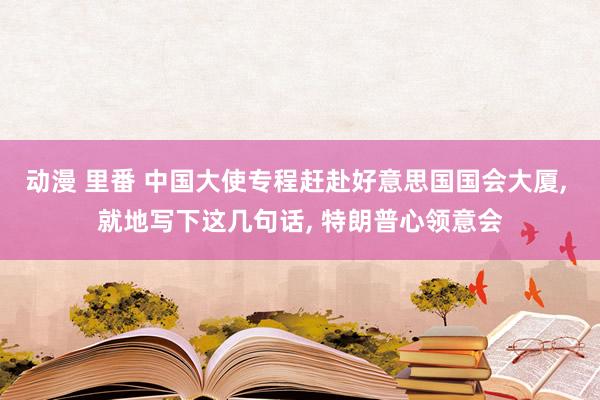 动漫 里番 中国大使专程赶赴好意思国国会大厦， 就地写下这几句话， 特朗普心领意会