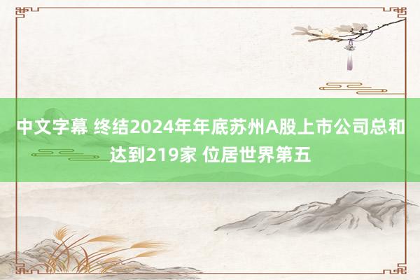 中文字幕 终结2024年年底苏州A股上市公司总和达到219家 位居世界第五