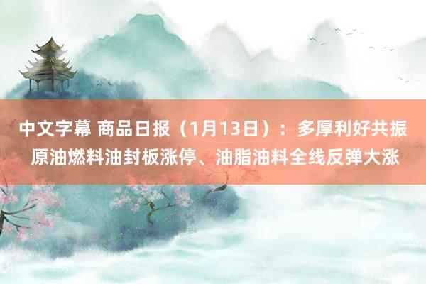 中文字幕 商品日报（1月13日）：多厚利好共振 原油燃料油封板涨停、油脂油料全线反弹大涨