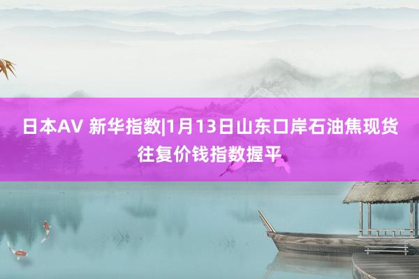 日本AV 新华指数|1月13日山东口岸石油焦现货往复价钱指数握平