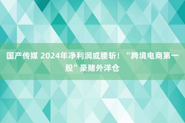 国产传媒 2024年净利润或腰斩！“跨境电商第一股”豪赌外洋仓