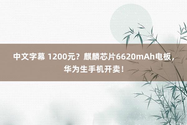 中文字幕 1200元？麒麟芯片6620mAh电板，华为生手机开卖！